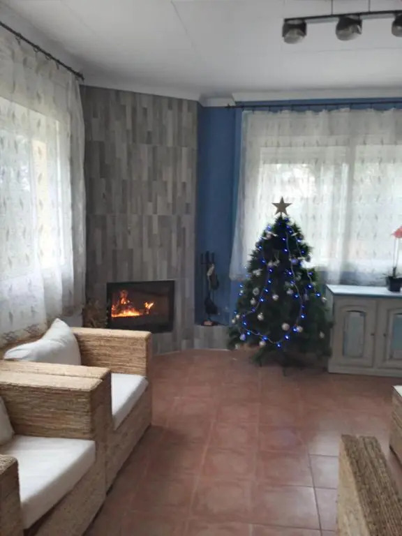 Romani,26