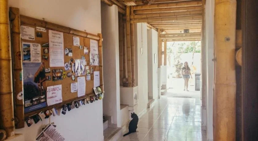 La Tortuga Hostel