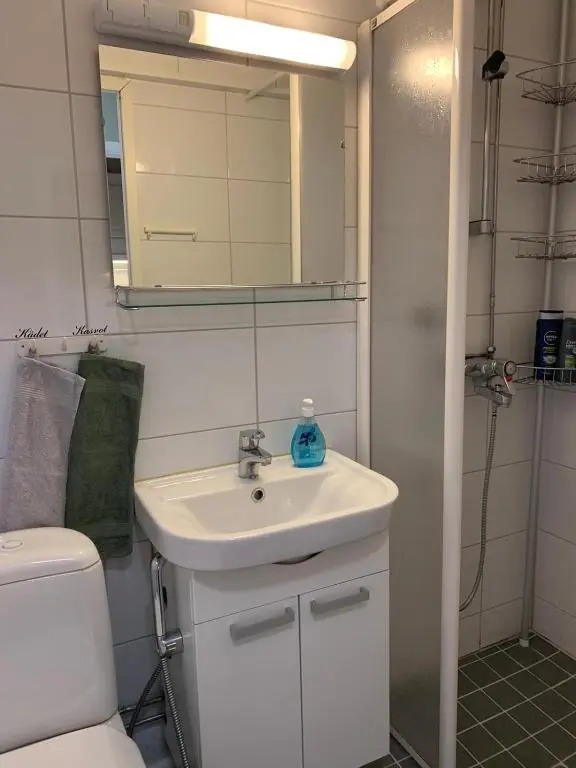 Cosy apartment in the city center