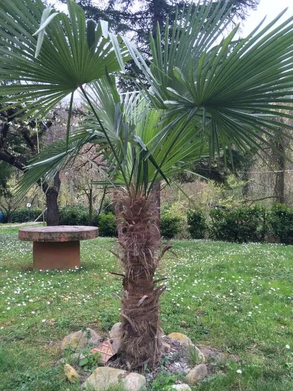 Locanda Irene