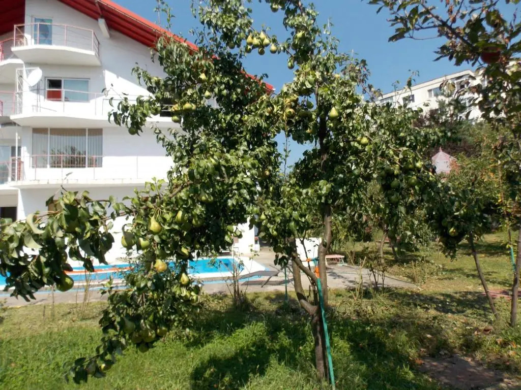 Vila Mili