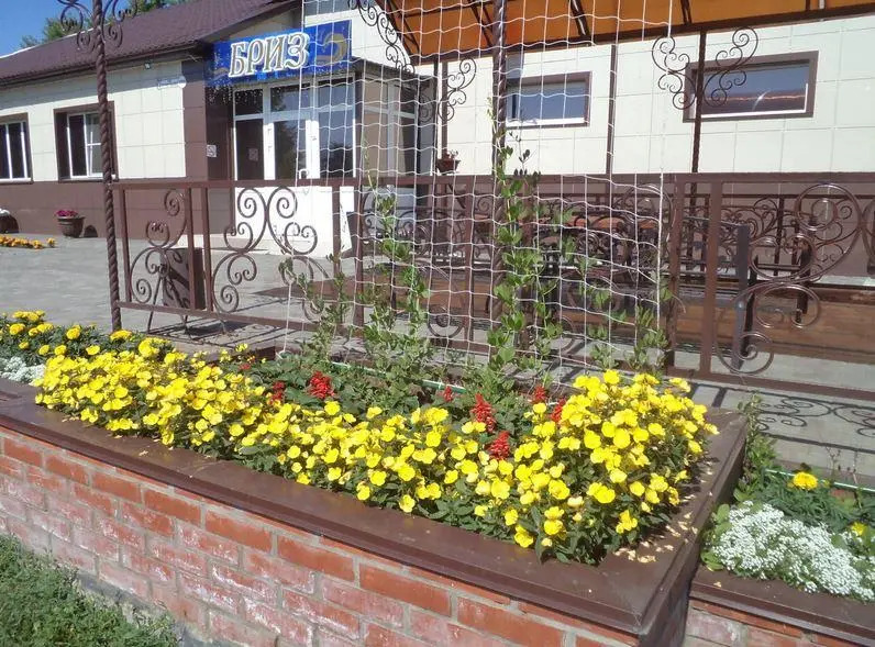 Бриз