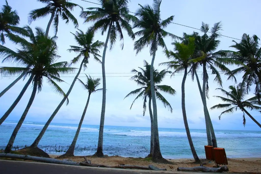 Turtle Eco Beach