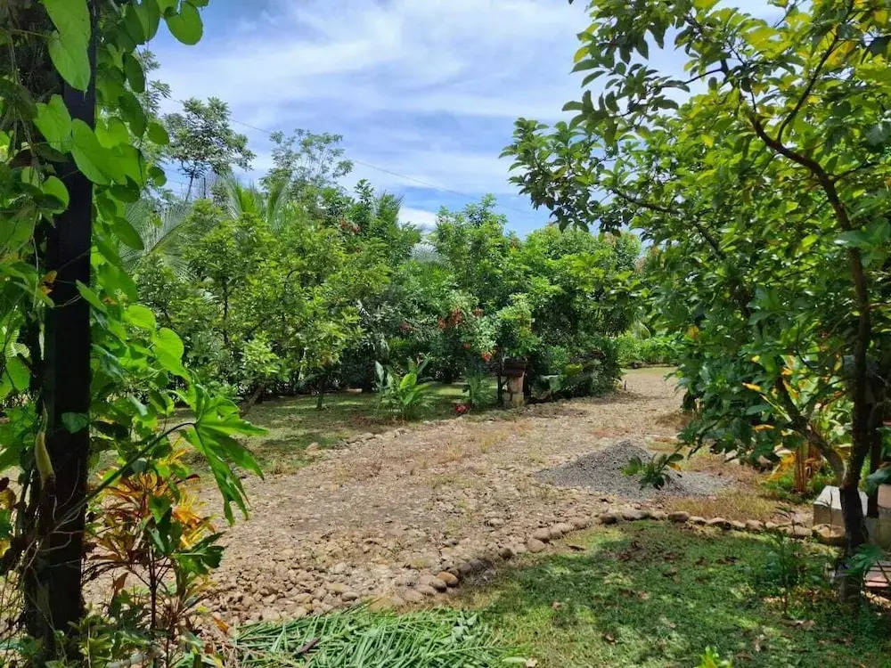 Bungalows Batsu