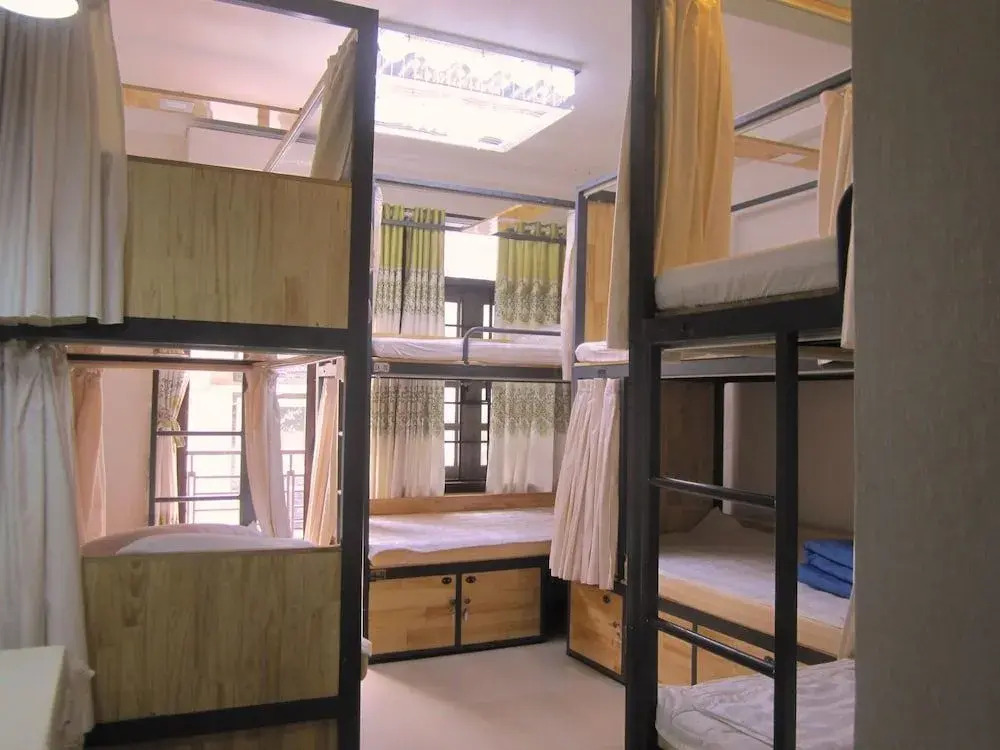 The Lily Hostel and Coffee