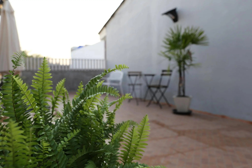 Green Home Hostel