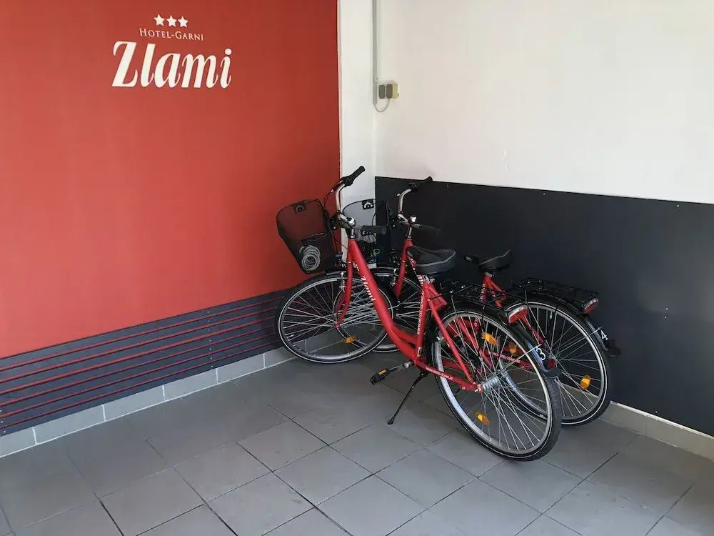 Hotel Zlami-Holzer