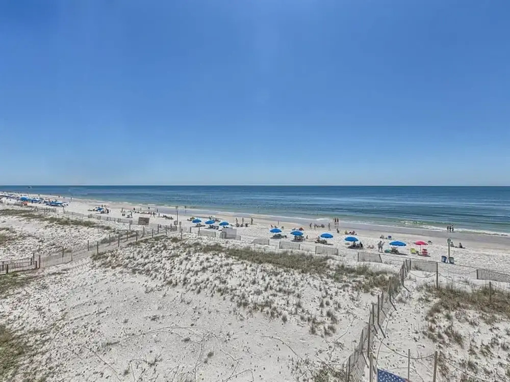 Edgewater 41 by Youngs Suncoast