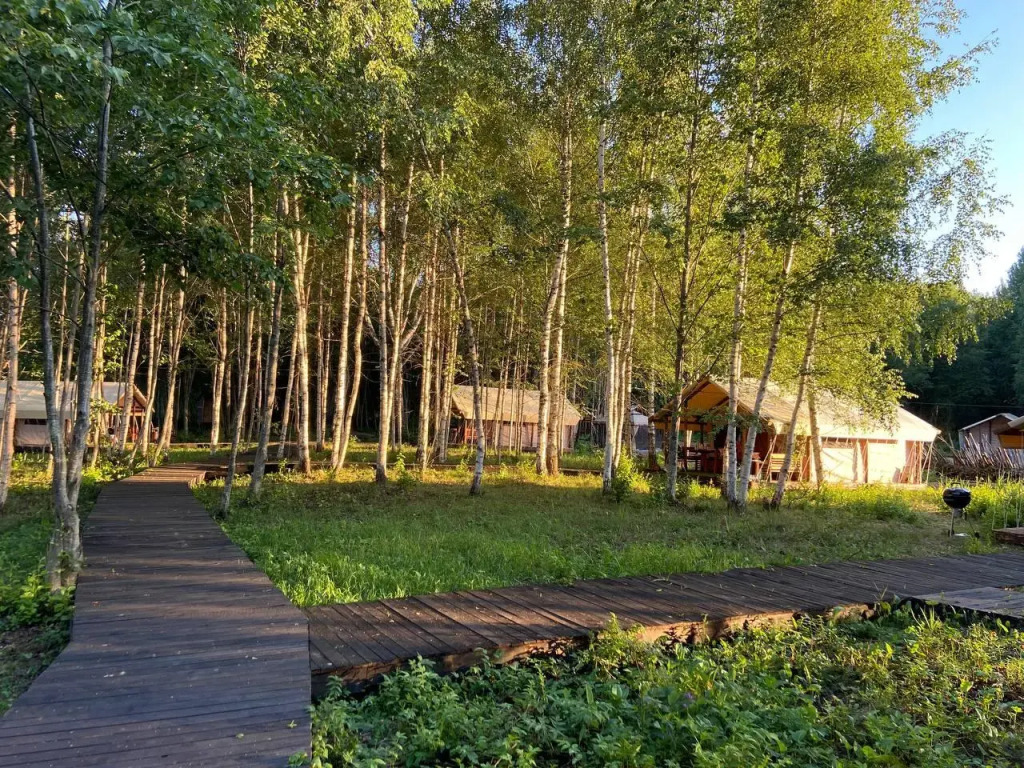Свобода