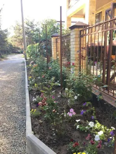 Guest House Nikita