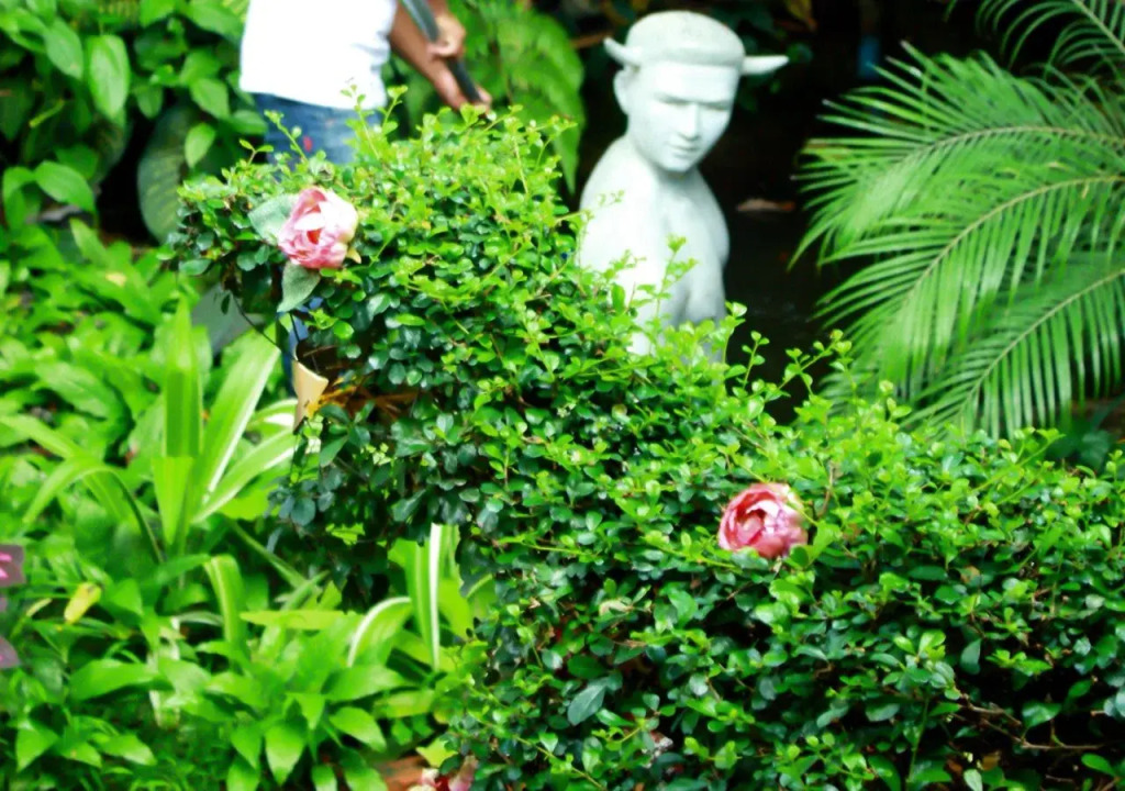 Club One Seven Gaymen Chiang Mai