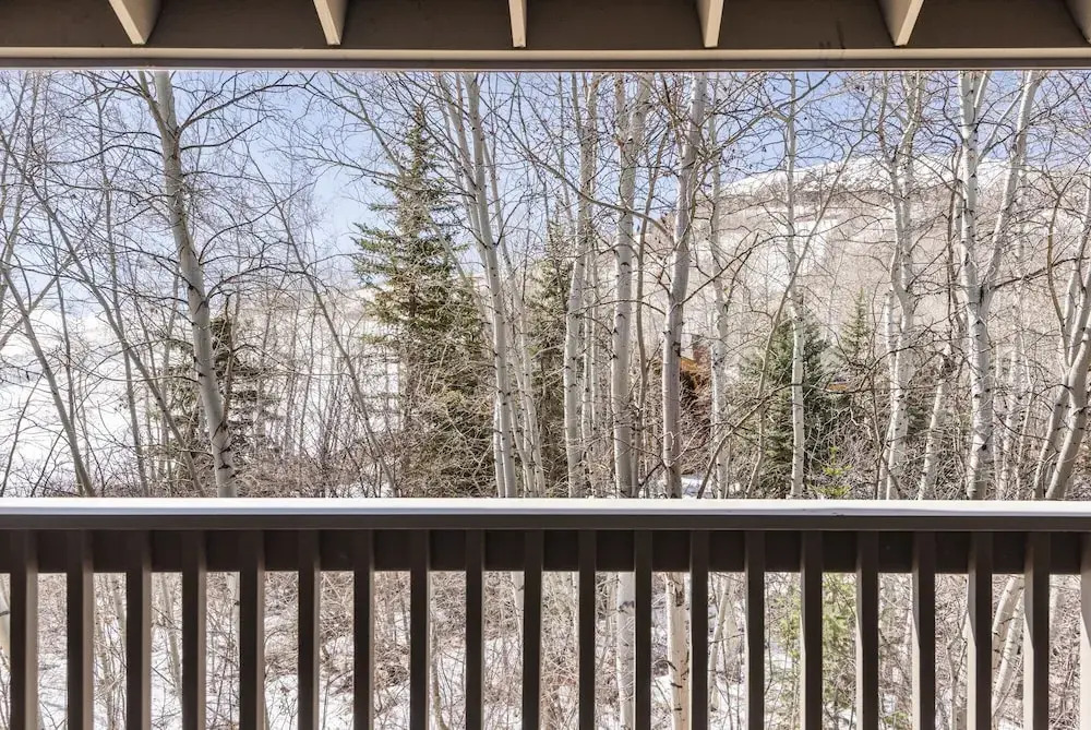 Snow Flower 154 2 Bedroom Condo by RedAwning
