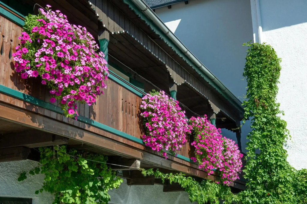 Seehotel Schlick