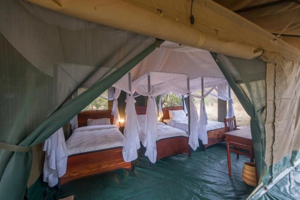 Acacia Migration Camp Kogatende