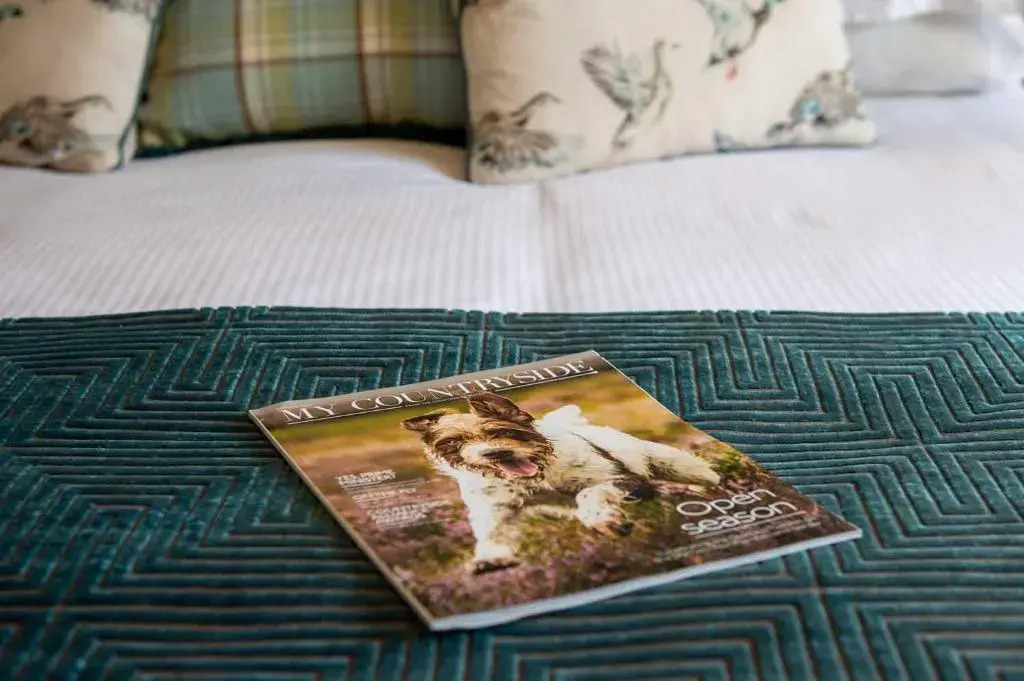 The Dinney B&B