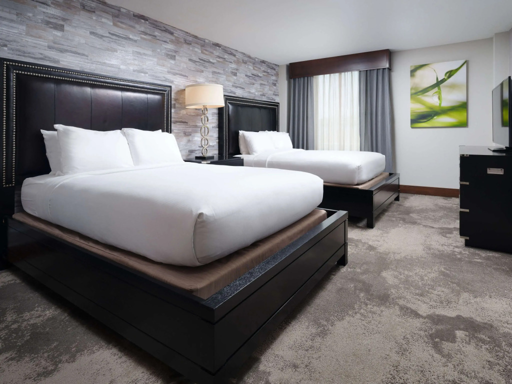DoubleTree by Hilton Hotel Chattanooga Downtown