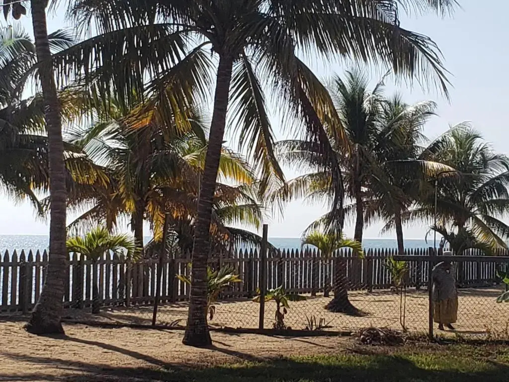 Pal's on the beach - Dangriga, Belize