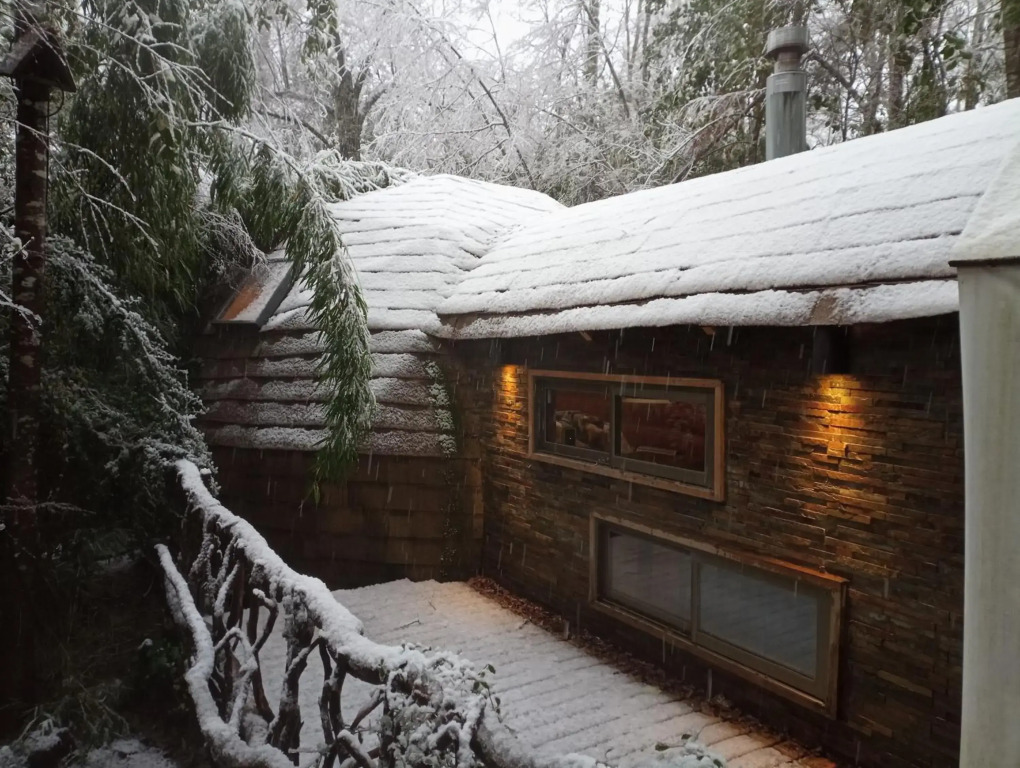Domo Bosque Nativo Villarrica comuna