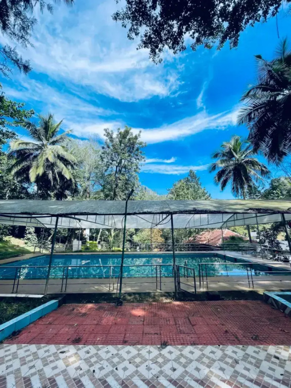 Treetop Resort
