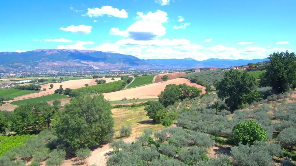 Agriturismo il Girasole
