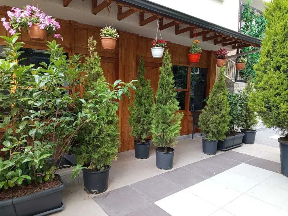 Ber Mai İnci Hotel Antalya