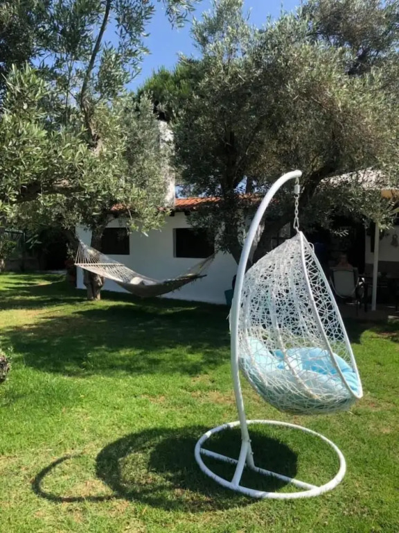 Oasis