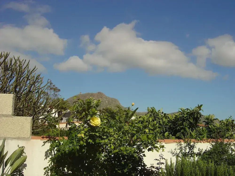 Casa Limona With Private Garden