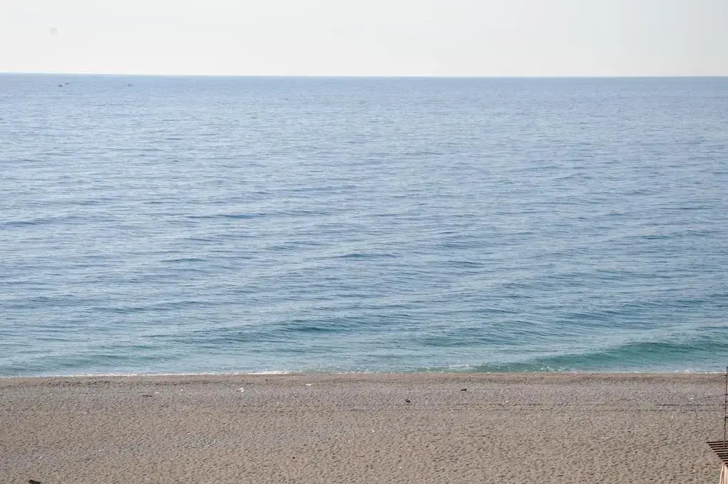 The Roof On The Sea