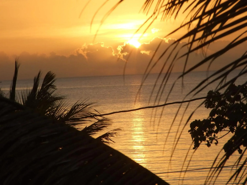 BlueBelize B&B
