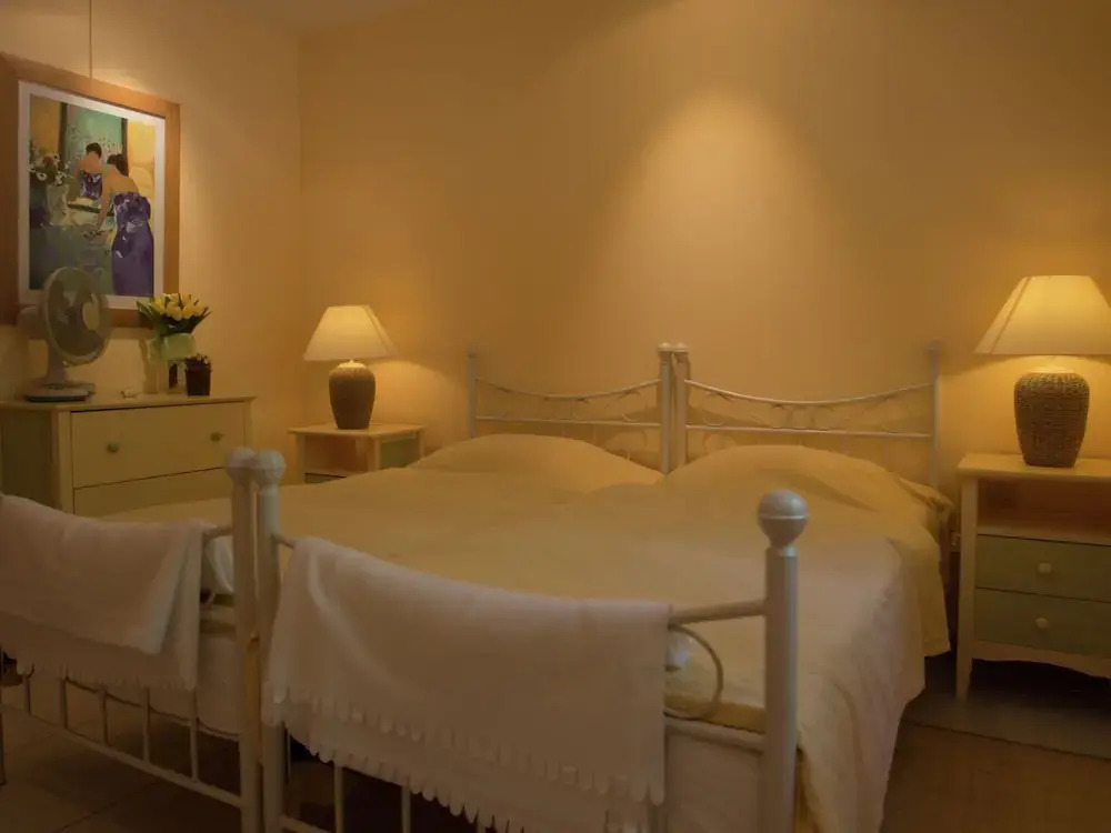 Villa With Private Pool in a Valley in the Forests of the Beloved Lorgues
