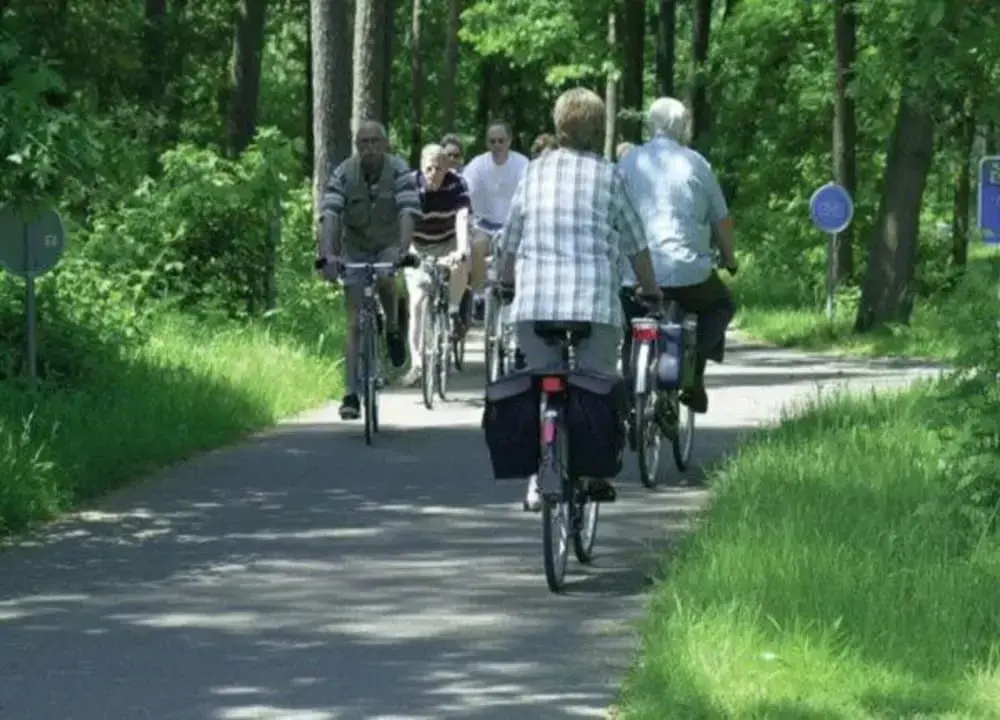 Hengelhoef Park Apartment