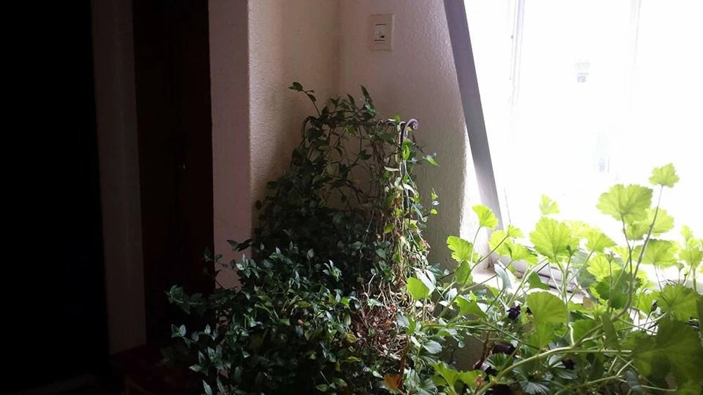 Apartment With 2 Bedrooms in Rio de Mouro, With Wonderful City View an
