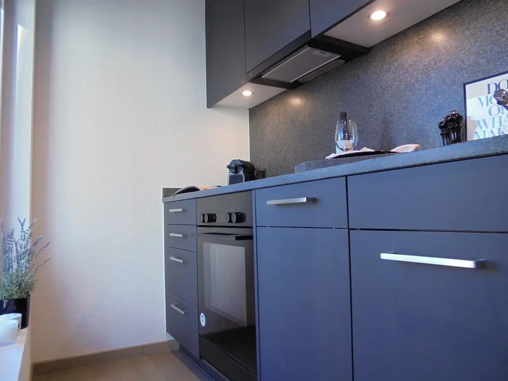 COSMOPOLITAN APARTMENTS Zürich Seefeld