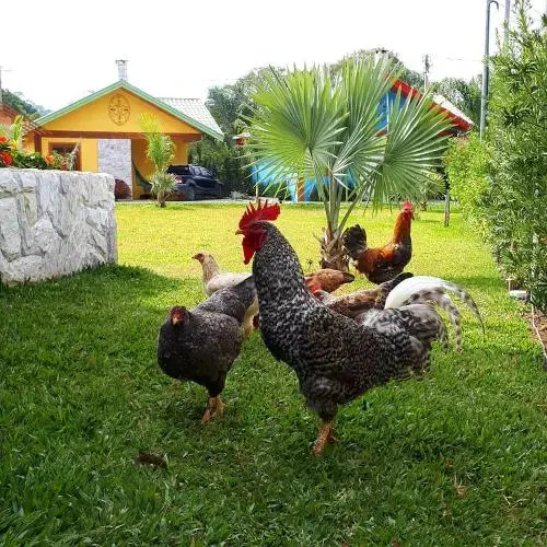 Pousada Déllis