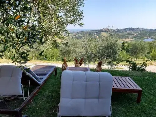 Ca' Fabbri