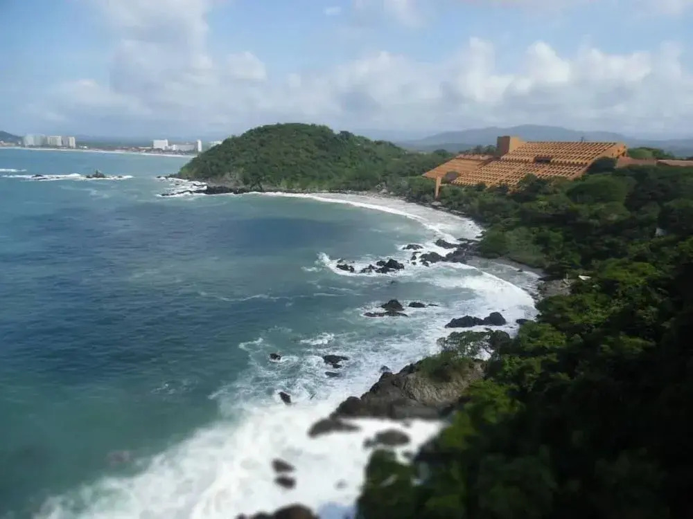 Palmetto Ixtapa 313