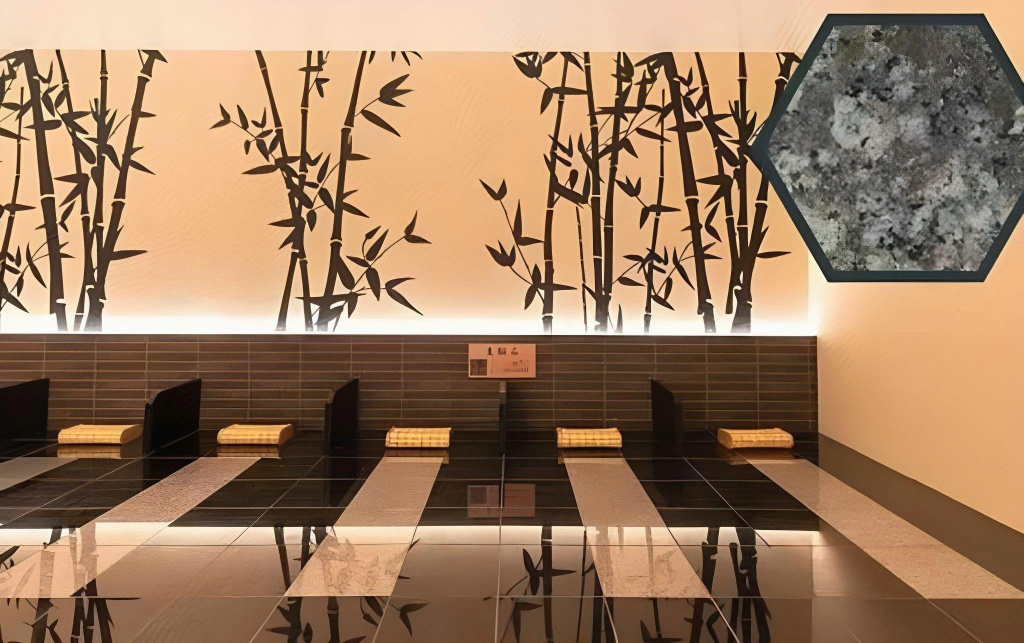 Aso Kumamoto Airport Hotel Eminence
