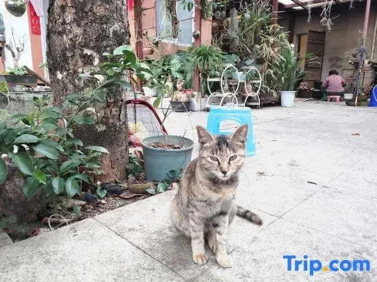 Yuan Zili Homestay