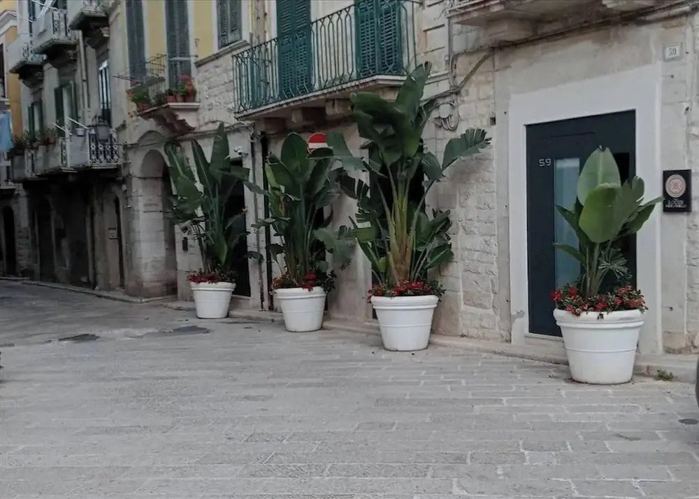 Locus Pendinelli Trani