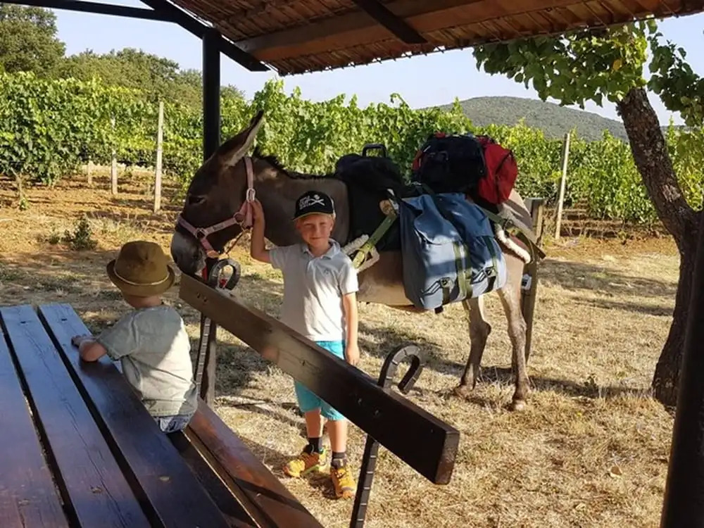 Appartamento Spiga - Agriturismo Le Selvole