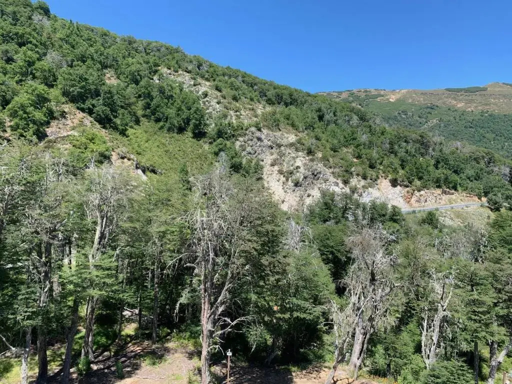 Departamento Sector Nevados de Chillan Wentrukal Turismo