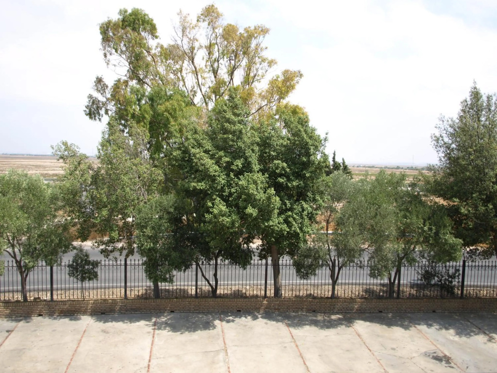 Hotel Caballo Negro