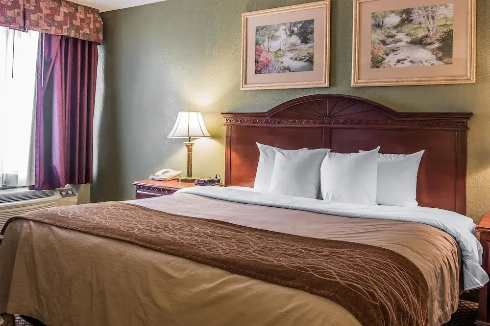 Comfort Inn & Suites Ann Arbor