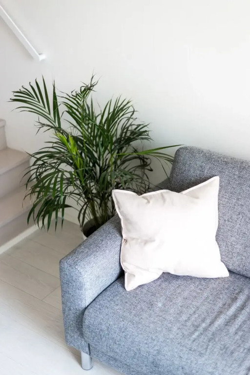 SSA Spot studio apartment ID 5002B22