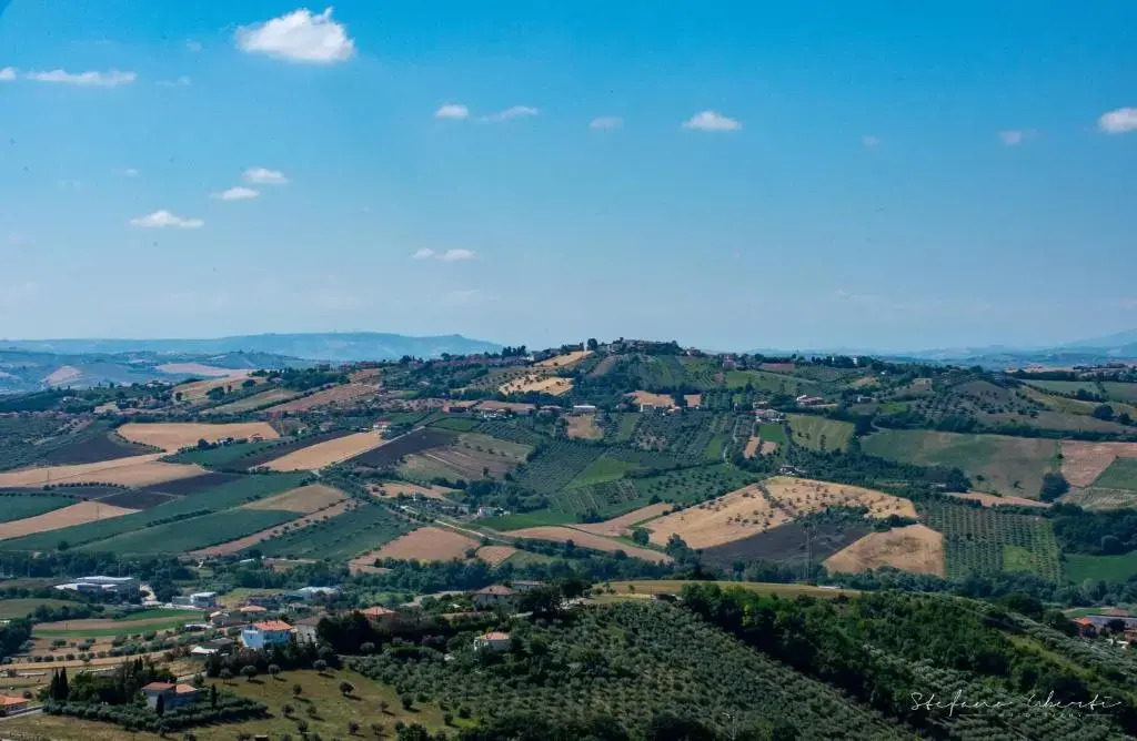 Villa Mascitti B&B Tortoreto Alto