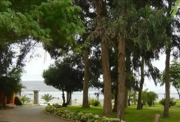 Hostal Los Alamos 2