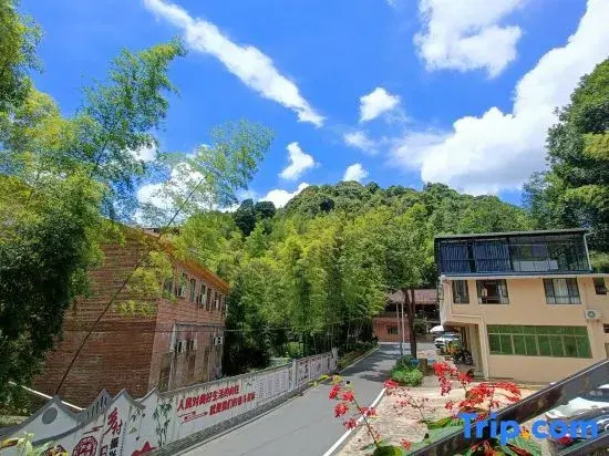 Longmen Nankunshan Taoyuan Ecological Holiday House