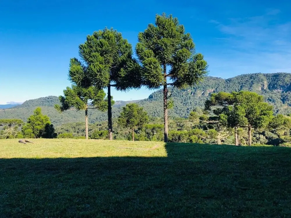 La Mansarda Hotel