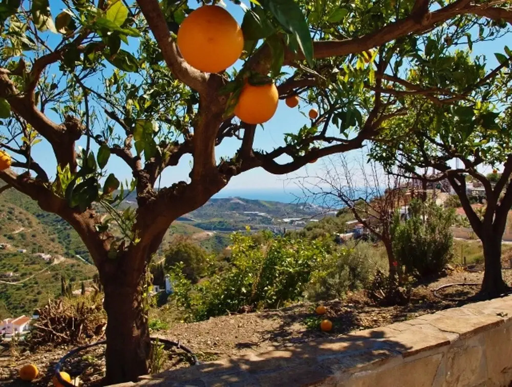 House With 4 Bedrooms in Torrox, With Wonderful sea View, Private Pool