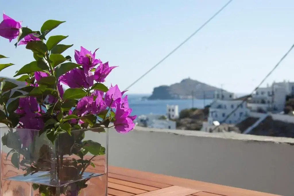 Panormos Villa Tinos Greece - Traditional House